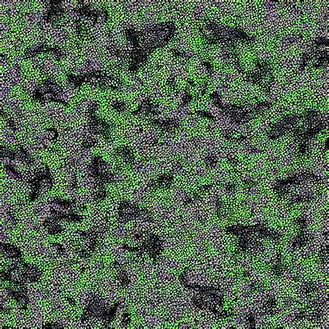 shape of toads, camouflage pattern, camo made of | Stable Diffusion | OpenArt