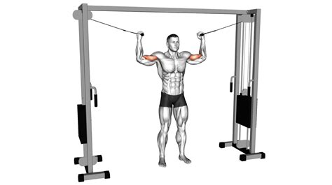 Image result for Cable Machine Hamstring Exercises