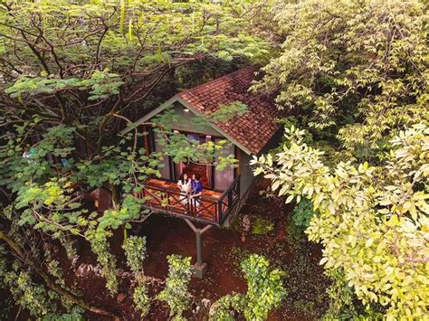 Jungle, Jungle Baat Chali Hai: Book These Unique Properties In ...