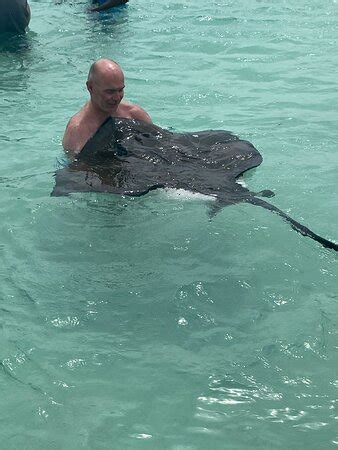 Stingray City (Antigua) - What to Know BEFORE You Go (with Photos)
