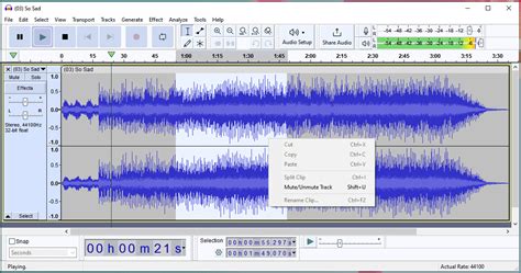 Image result for What Type of Software Is Audacity