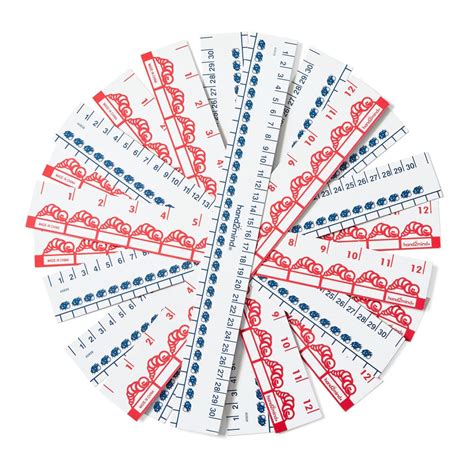 Buy hand2mind 12 inch Inchworms and Centibugs Rulers, School Supplies ...