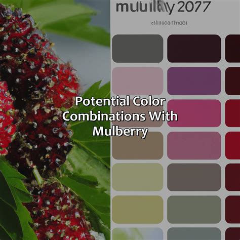 What Color Is Mulberry - colorscombo.com