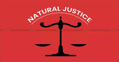 Income Tax Notices Sent to Spam Folder in E-Mail, Not Replied: ITAT ...