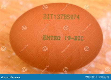 Egg Timer Expiry Date at Heather Kushner blog