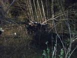 State Police seek cause of crash that killed two near Vida - oregonlive.com