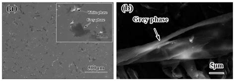 Microstructure Characterization and Properties of Graphene Oxide ...