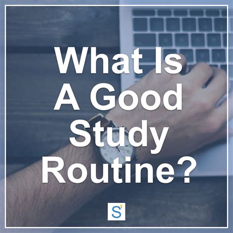 My Daily Study Routine 的图像结果
