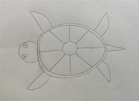 Image result for Simple Turtle Drawing
