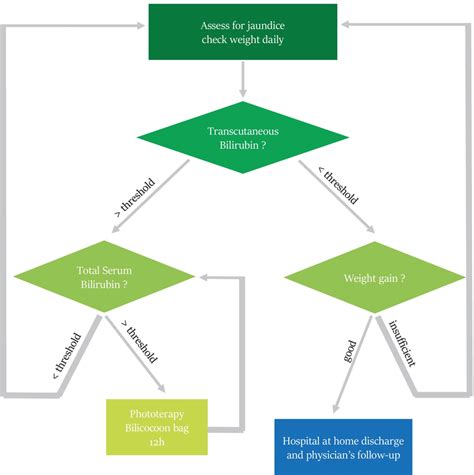 Image result for Neonatal Jaundice Algorithm