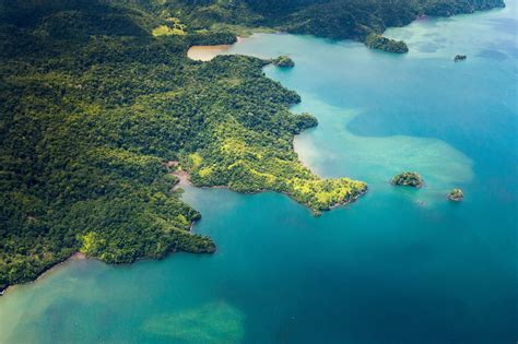 Guide To Wildlife In The Osa Peninsula | Travel Blog | Blue Parallel