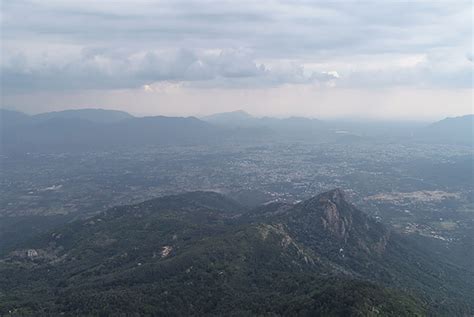 Trekking Adventure - Tipperary Estate | Yercaud