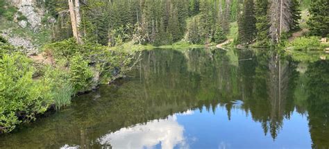 Bloods Lake Trail, Utah - 5,403 Reviews, Map | AllTrails