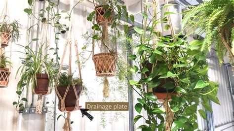 WATERING HANGING PLANTS – Garden Up