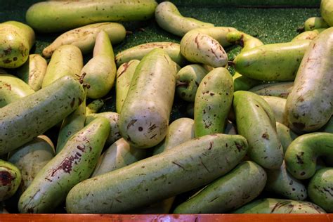 Lauki fresh vegetables.pile of bottle gourd with green background ...