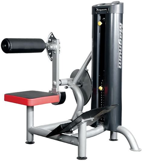 Image result for Arm and Back Machine