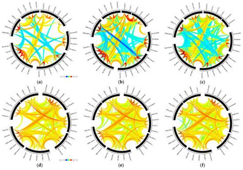 Spatial Smoothing Effect on Group-Level Functional Connectivity during ...