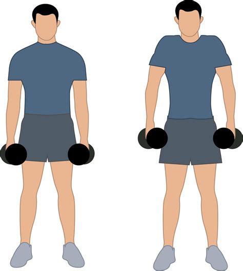 Image result for Musculation Du Cou Exercice