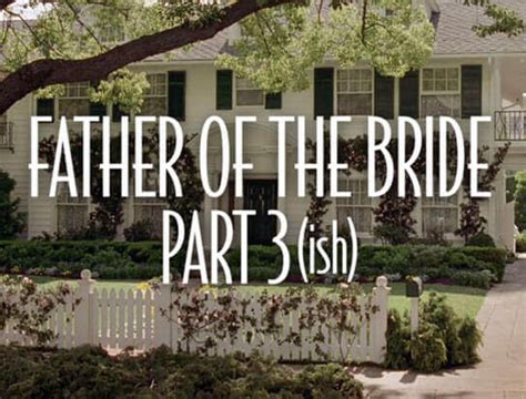 Image result for Father of the Bride 3