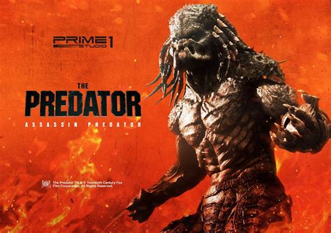 Image result for Assassin Predator