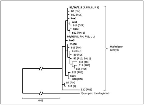 Pathogens | Special Issue : Emerging and Endemic Infections in Wildlife ...