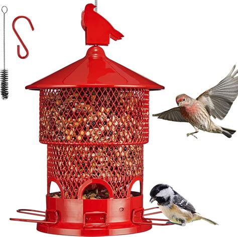 Amazon.com : Squirrel Proof Wild Bird Feeders - Upgraded Outdoors ...