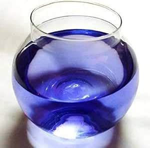 CRAFTVERRE Transparent 2l Glass Fish Bowl : Amazon.in: Pet Supplies