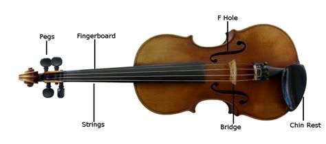 String Instrument 的图像结果
