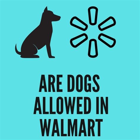 Are Dogs Allowed in Walmart? (2024 Policies) - Oxford Pets