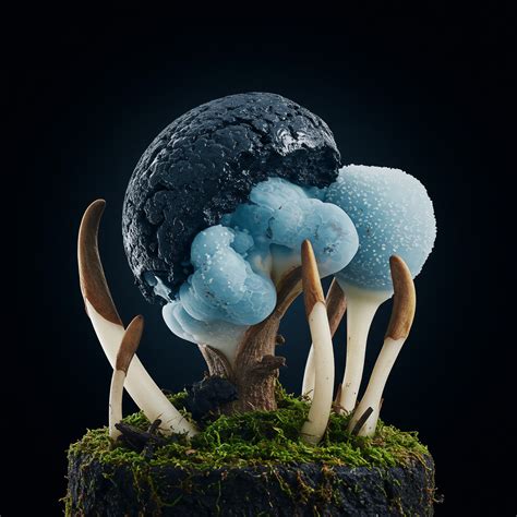 Genetic Modification 的图像结果