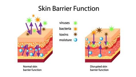 Best Moisturizer For Acne Prone Skin – SkinKraft