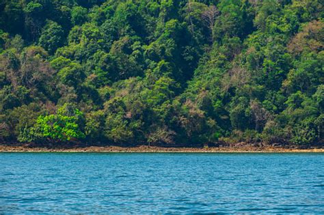 Natural Environment 的图像结果