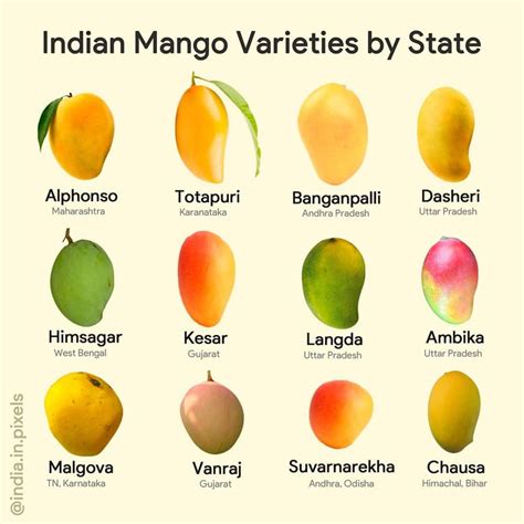 Image result for Mango Types Mango Varieties