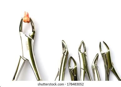 Tooth Extraction Equipment 的图像结果