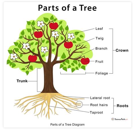 Image result for Tree Structure HTML/CSS
