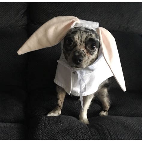 A personal favorite from my Etsy shop https://www.etsy.com/listing ...