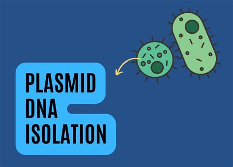 Plasmid Isolation 的图像结果