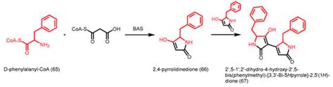 Exploiting the Biosynthetic Potential of Type III Polyketide Synthases