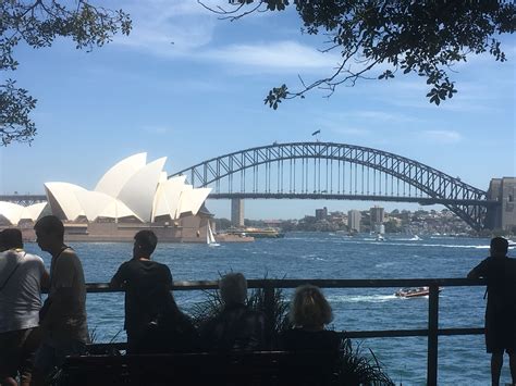 I went to sydney to find p sherman 42 wallaby way – Artofit