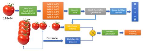 Image result for Deepsort Tutorial