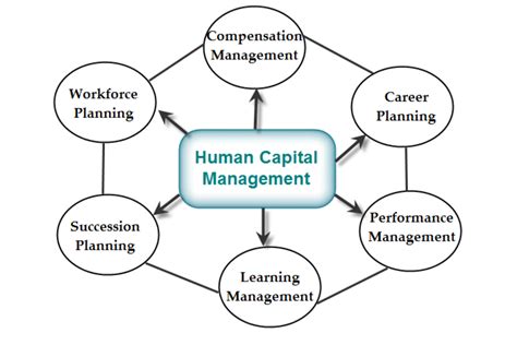 Image result for Human Capital Mapping Algorithm