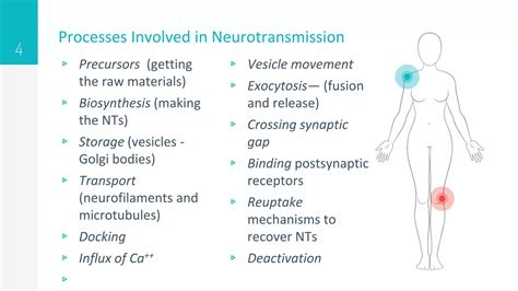 Neurotransmitters | PPTX