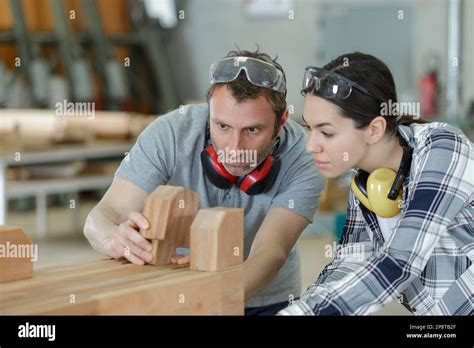 Carpenter Training 的图像结果
