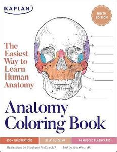 Anatomy Coloring Book with 450+ Realistic Medical Illustrations with ...