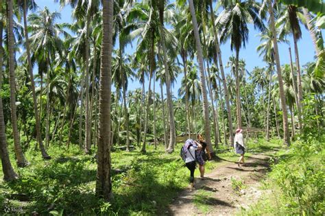 Caves, Falls & Scenic Landscapes: Anda Bohol Tour - Klook India