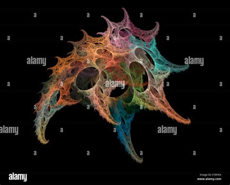 Image result for Shell Shapes