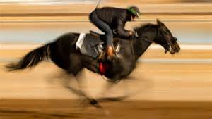 Reddam Racing's Pavlovian Gets the Nod in the Sunland Derby