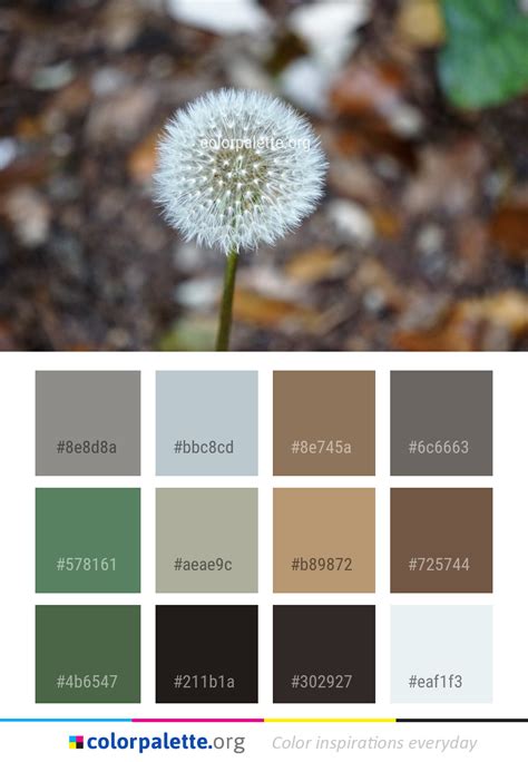 FlowerColor 的图像结果