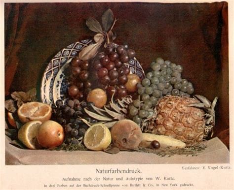 Image result for Tutorial On Scanning Documents