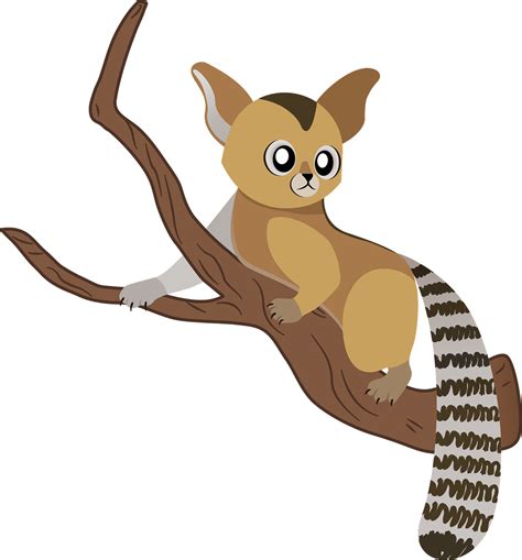 Musang Satwa Kartun Gambar - Gambar vektor gratis di Pixabay - Pixabay